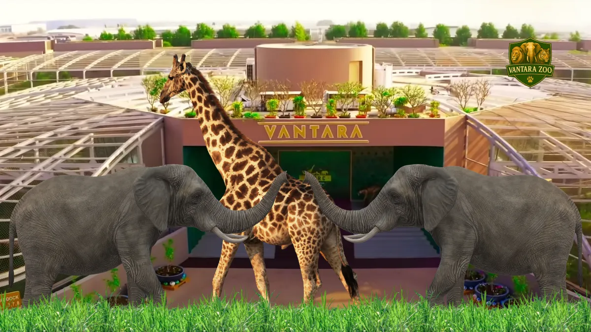 SIT Submits Sealed Report to SC